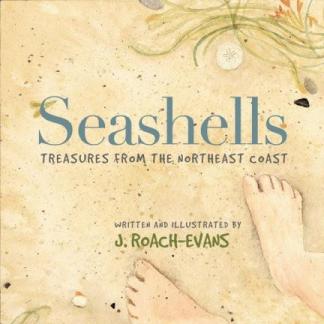 11262018 - Evans Seashells